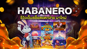 HABANERO สล็อตแตกง่าย