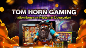TOM HORN GAMING