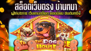 สล็อตเว็บตรง-บ้านหมา